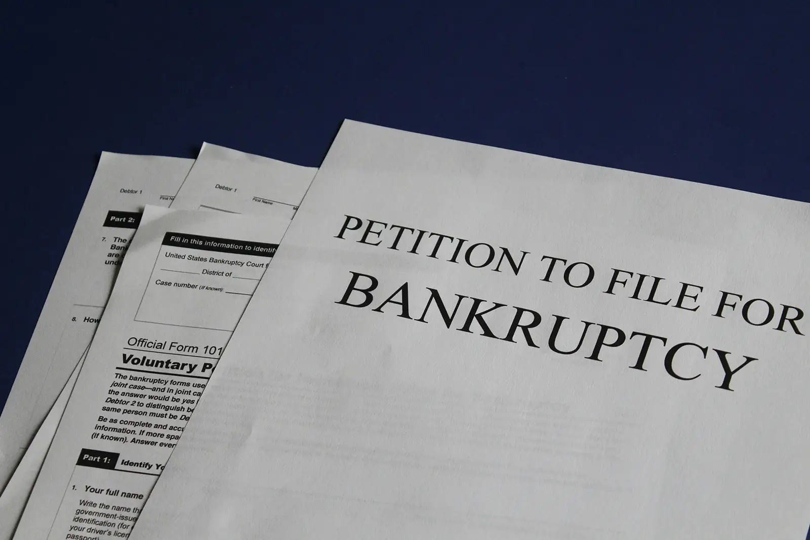 Bankruptcy Papers