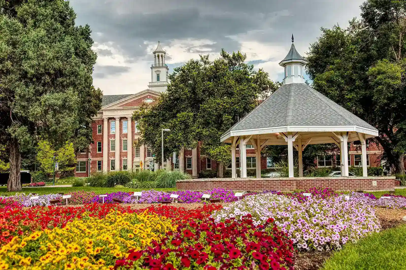 Fort Collins Town